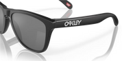 Oakley Frogskins range Sunglasses