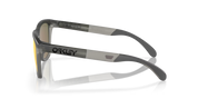 Oakley Frogskins range Sunglasses