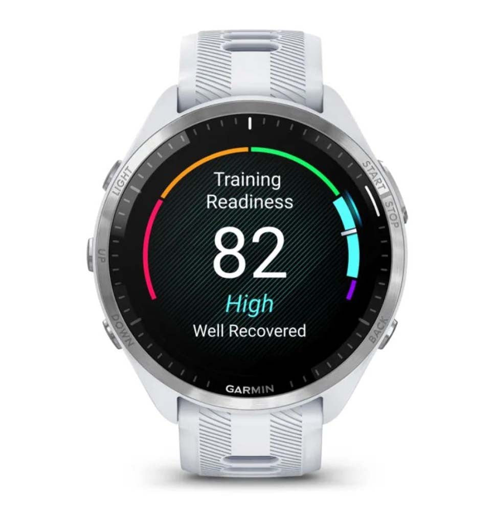 Garmin 965 Multisport Watch